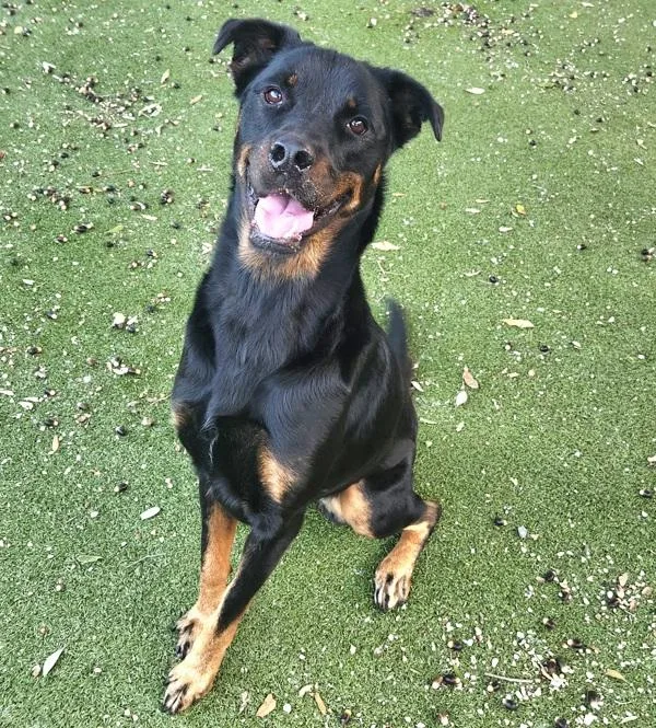 Twilight thumbnail 5