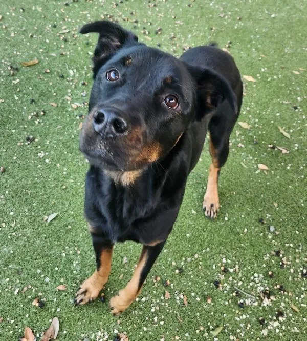 Twilight thumbnail 6