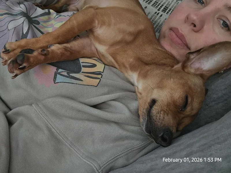 Sir Snuggles thumbnail 2