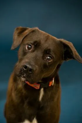 Keeono Fka Roman photo 1