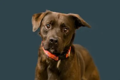 Keeono Fka Roman thumbnail 2