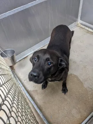 Keeono Fka Roman thumbnail 3