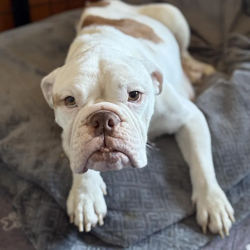 Mama Hazel thumbnail 2