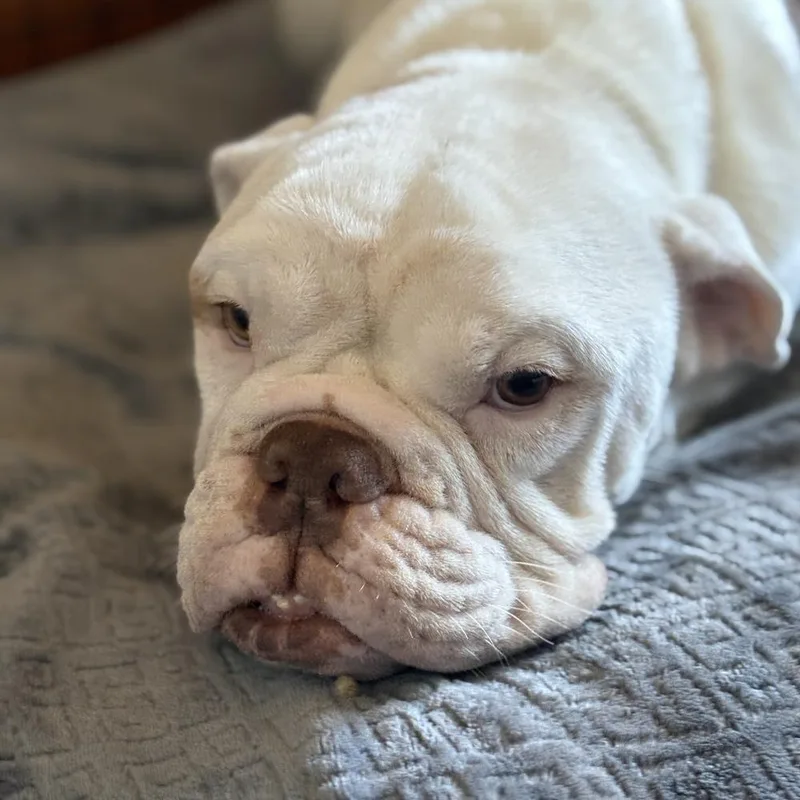 Mama Hazel thumbnail 3