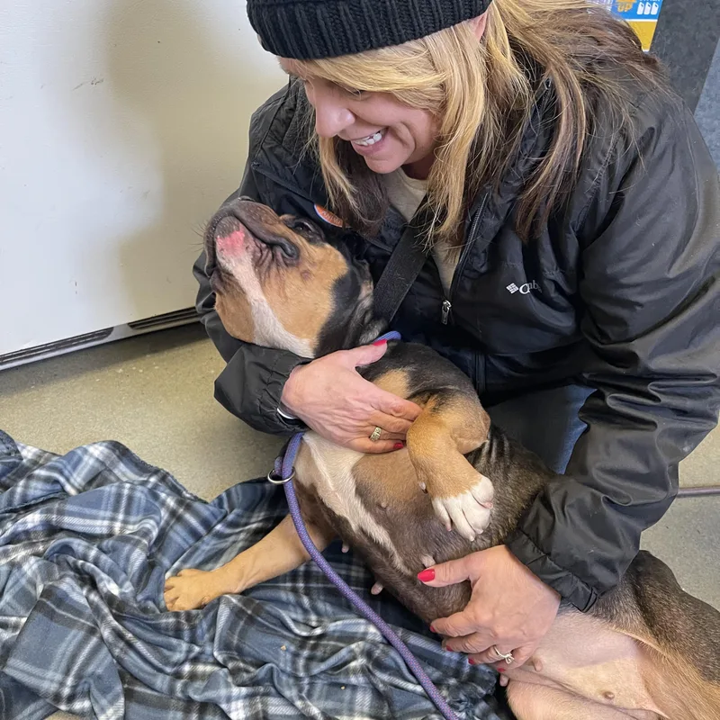 Monchichi thumbnail 4