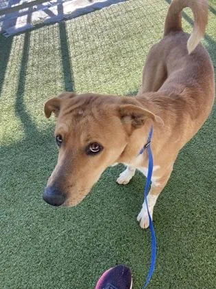 Augustus thumbnail 2