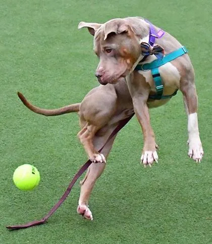 Saint Nicholas thumbnail 2