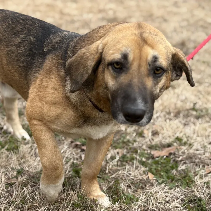 Maverick thumbnail 3