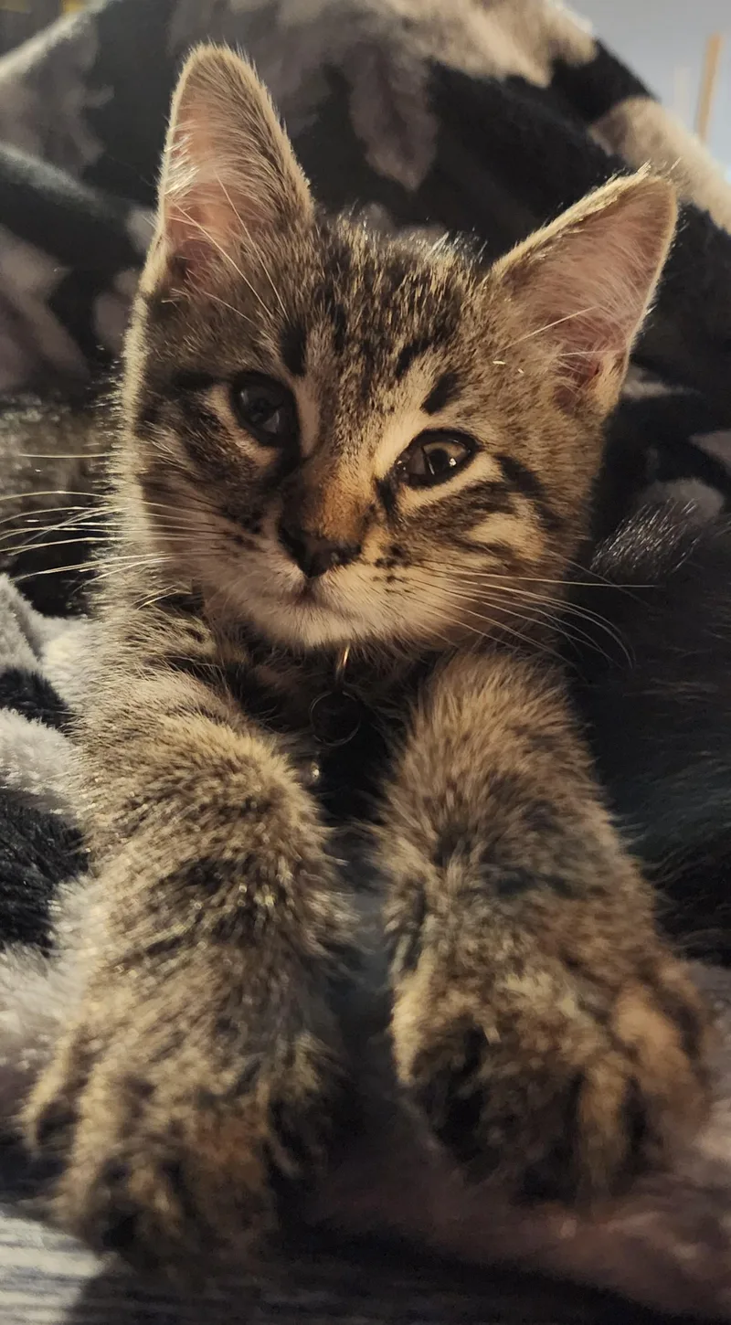 Green Eggs And Ham thumbnail 2