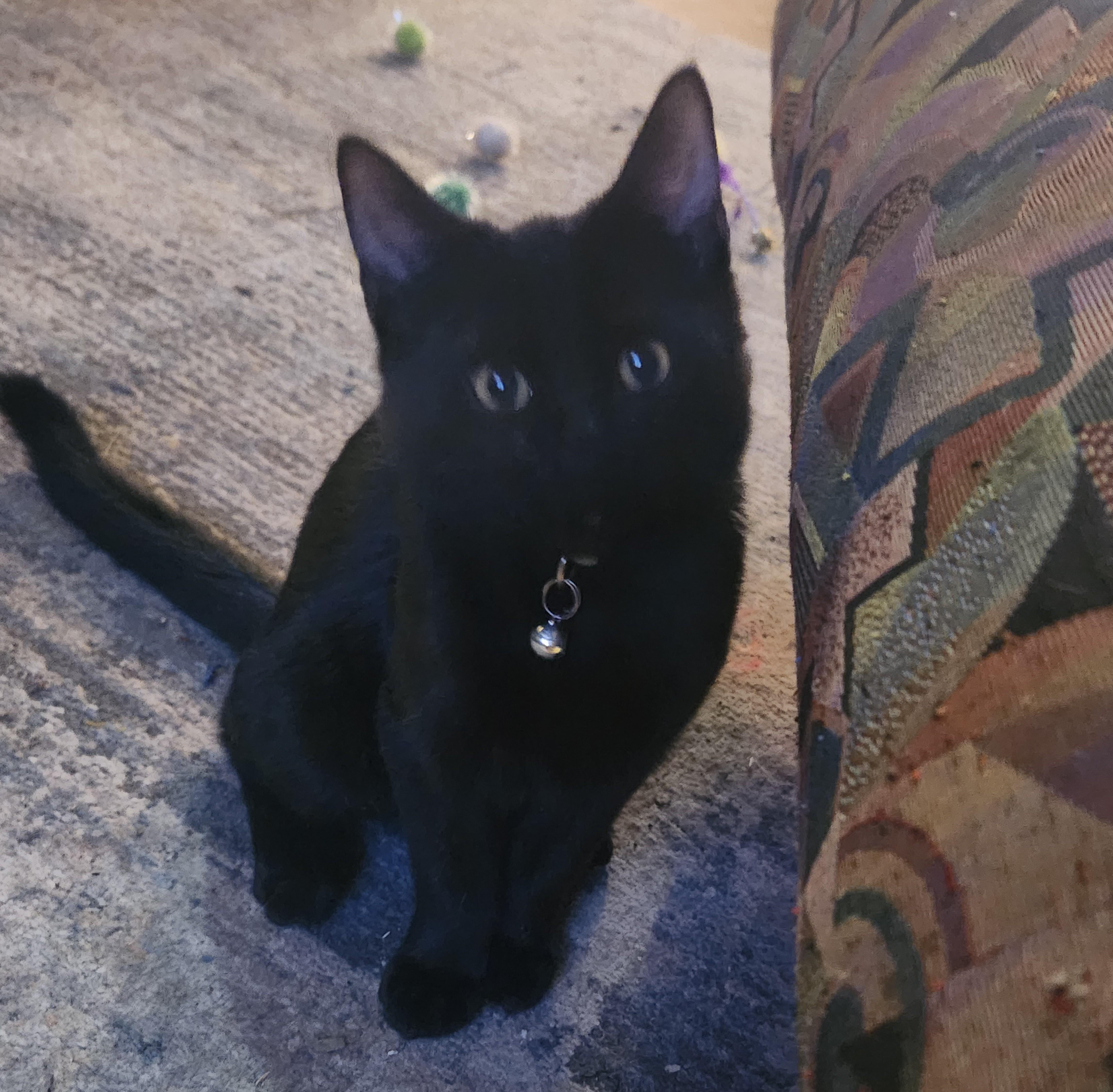 Green Eggs And Ham thumbnail 5