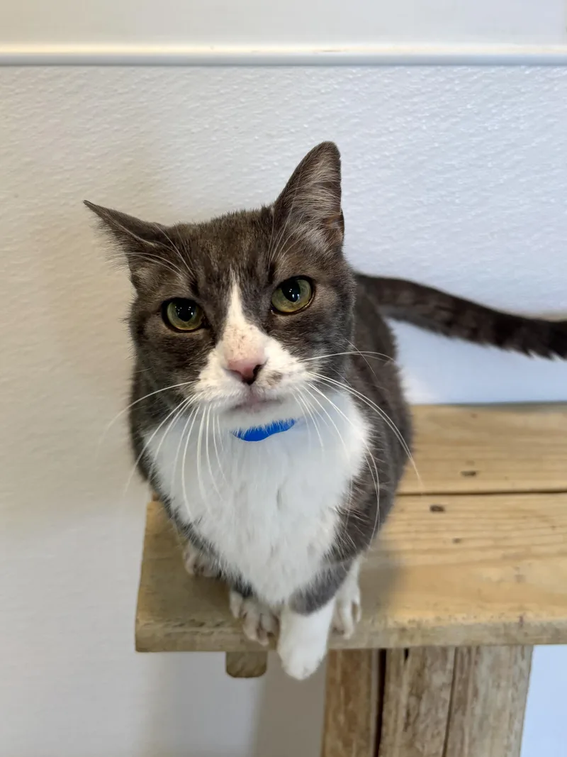 Christian thumbnail 2