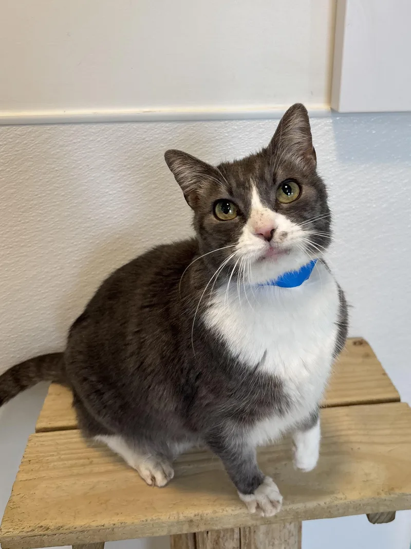 Christian thumbnail 3