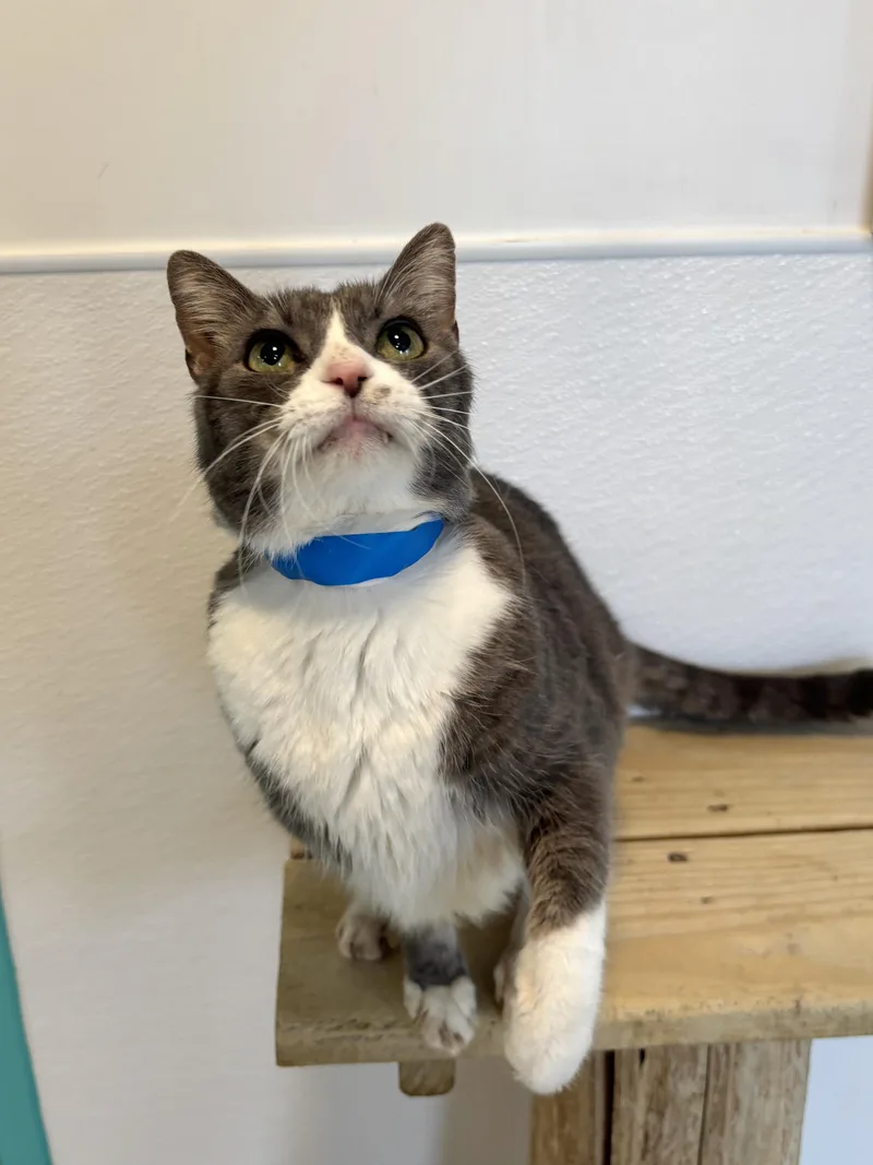 Christian thumbnail 4