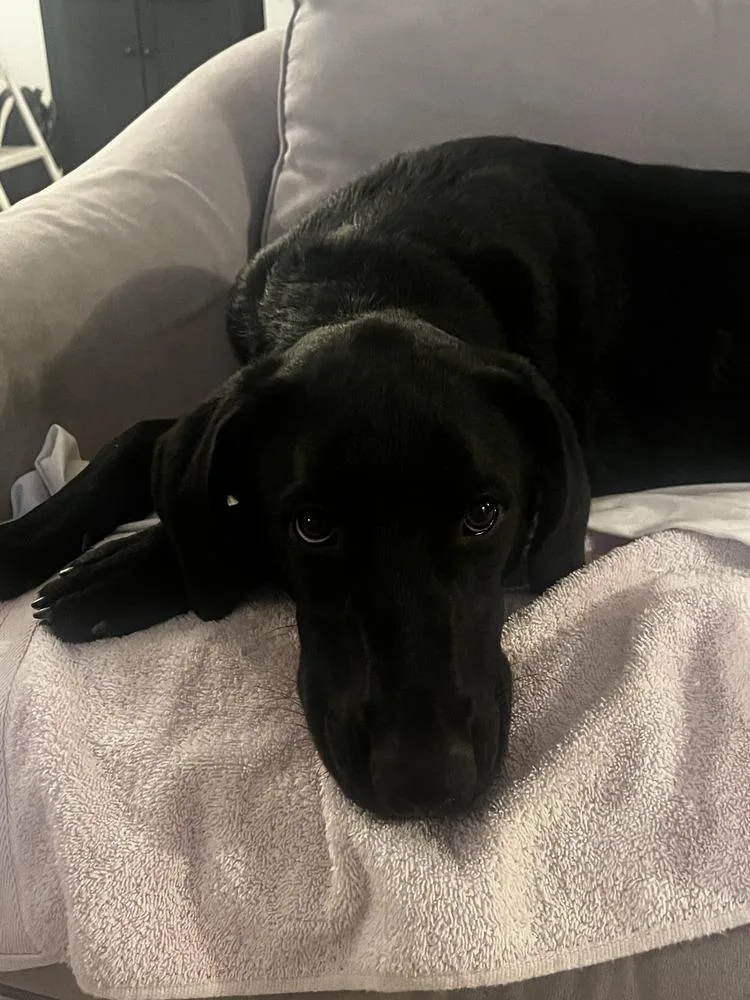 Cassandra thumbnail 3