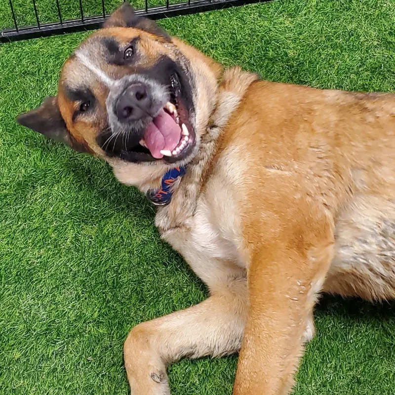 Dakota Jum thumbnail 2