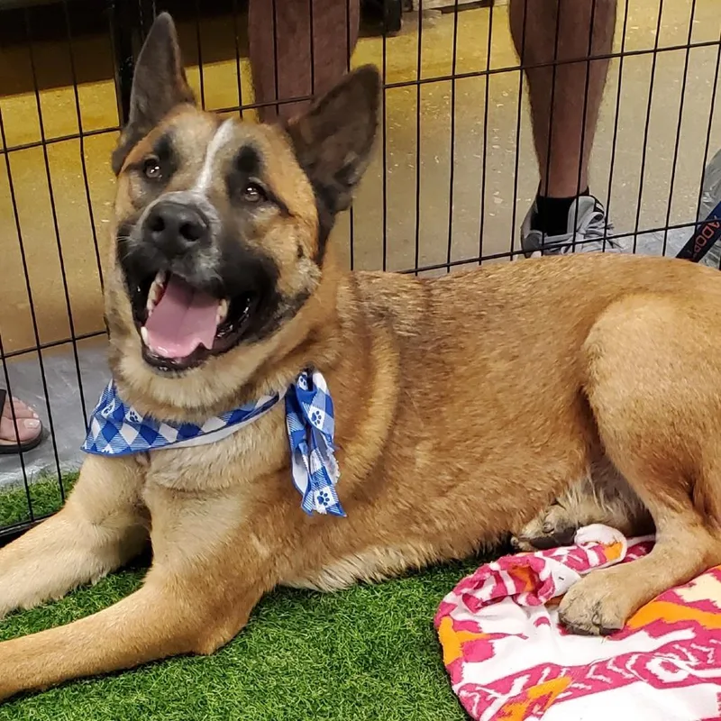 Dakota Jum thumbnail 4