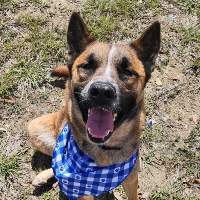 Dakota Jum thumbnail 5