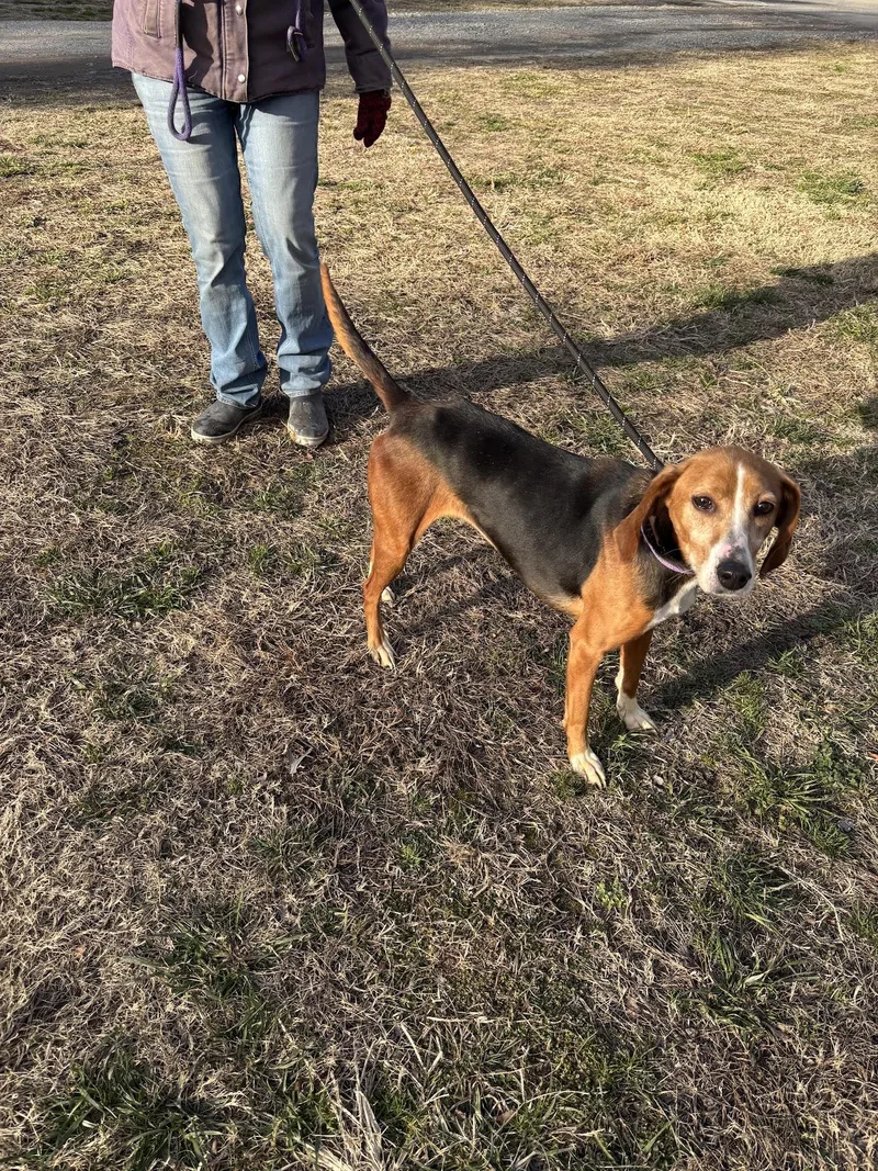 Princess thumbnail 2