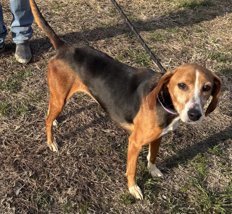 Princess thumbnail 3