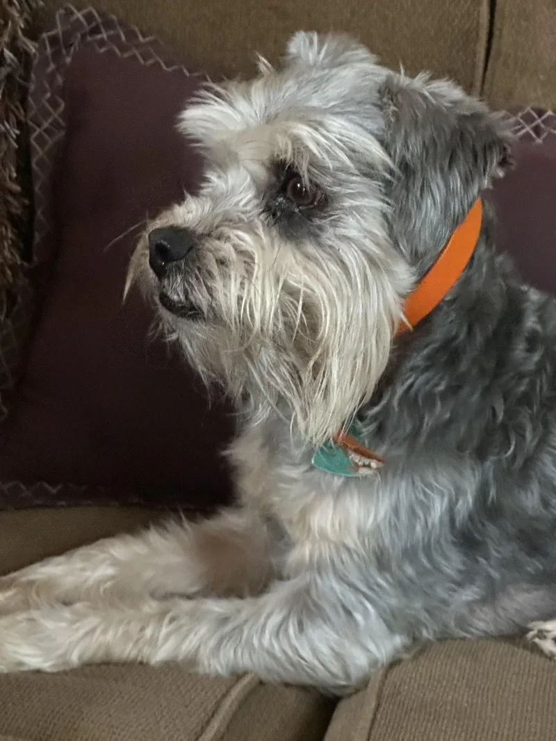 Ginger + Noah thumbnail 2