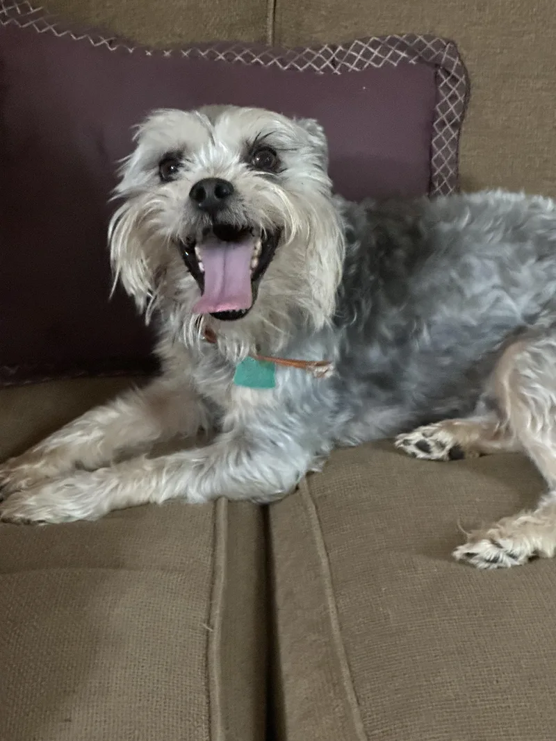 Ginger + Noah thumbnail 3