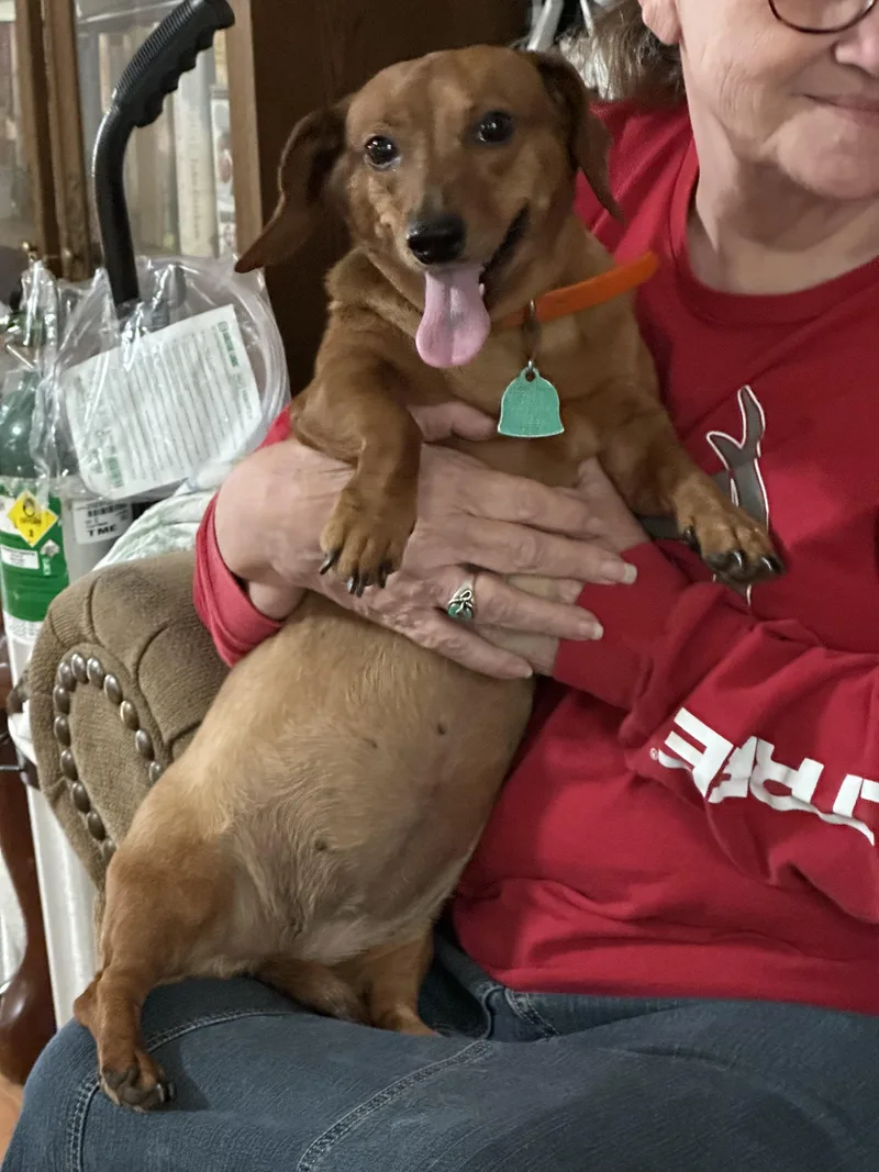 Ginger + Noah thumbnail 4