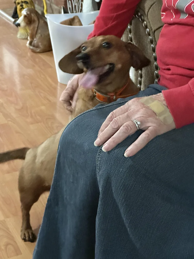 Ginger + Noah thumbnail 5