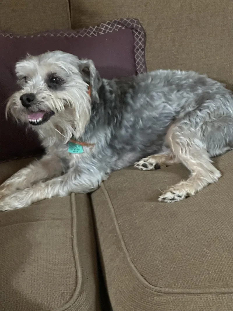 Ginger + Noah thumbnail 6