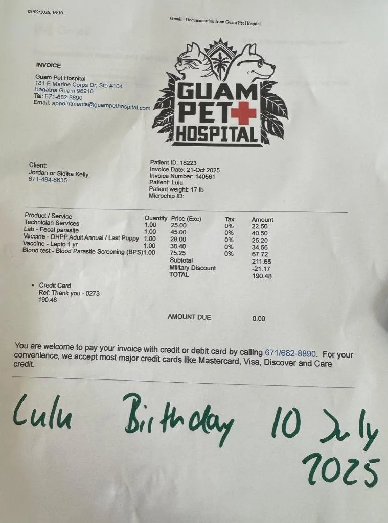 Lulu “the Love Bug”