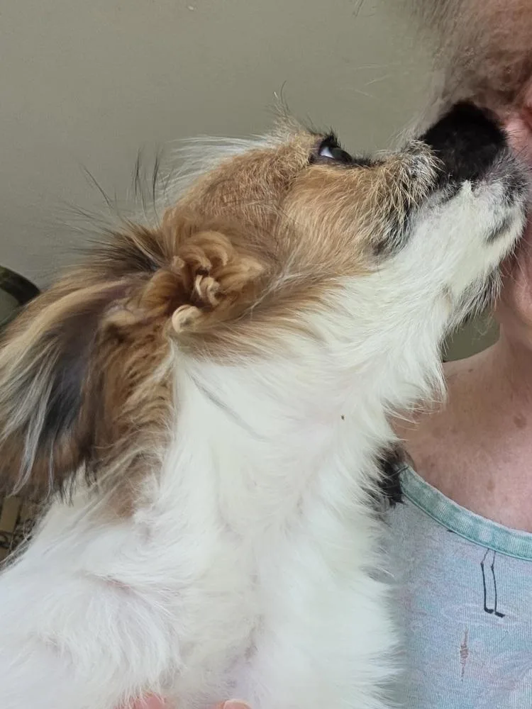 Macareno thumbnail 2