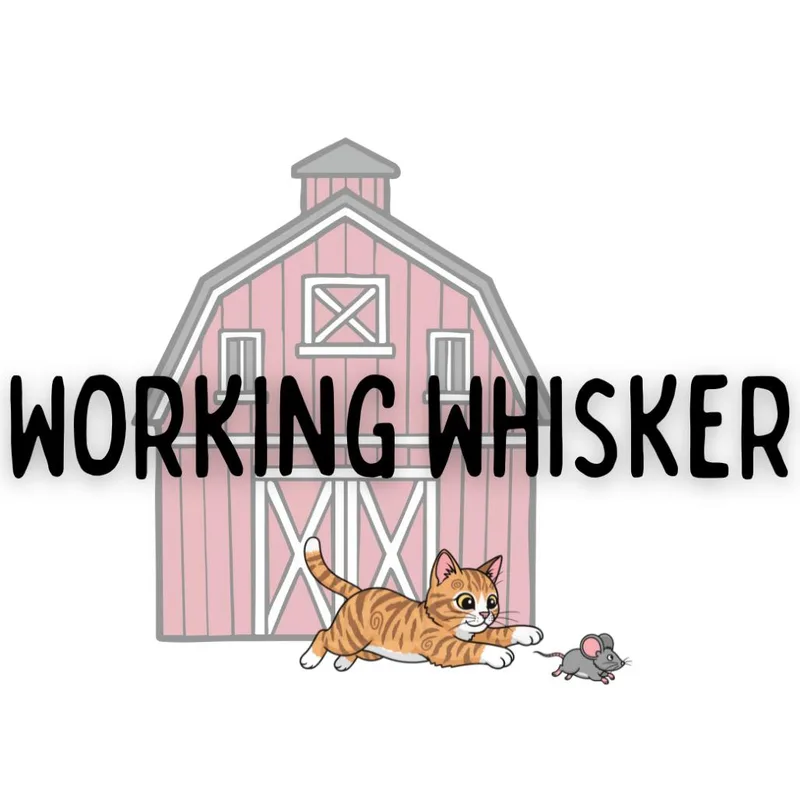 Maggie's Way Or No thumbnail 2