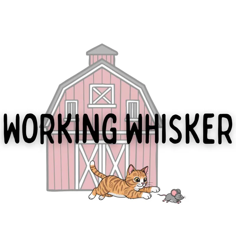 Como Se Dice Bussin thumbnail 2