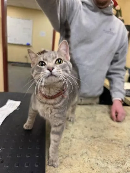 Yarnwindle thumbnail 2