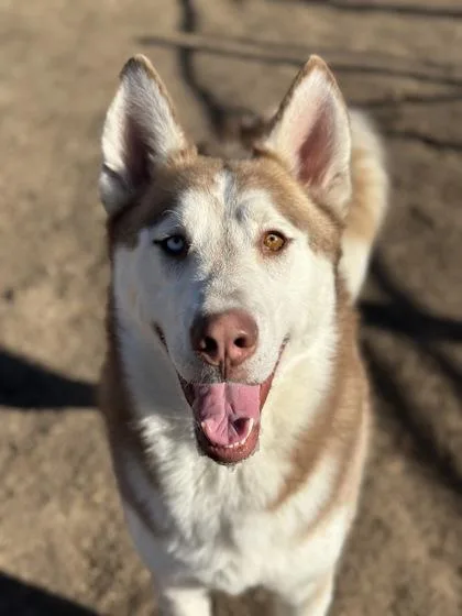 Lightning thumbnail 2