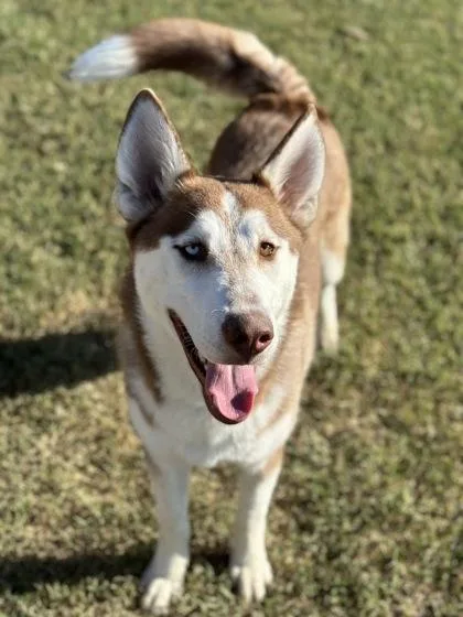 Lightning thumbnail 3