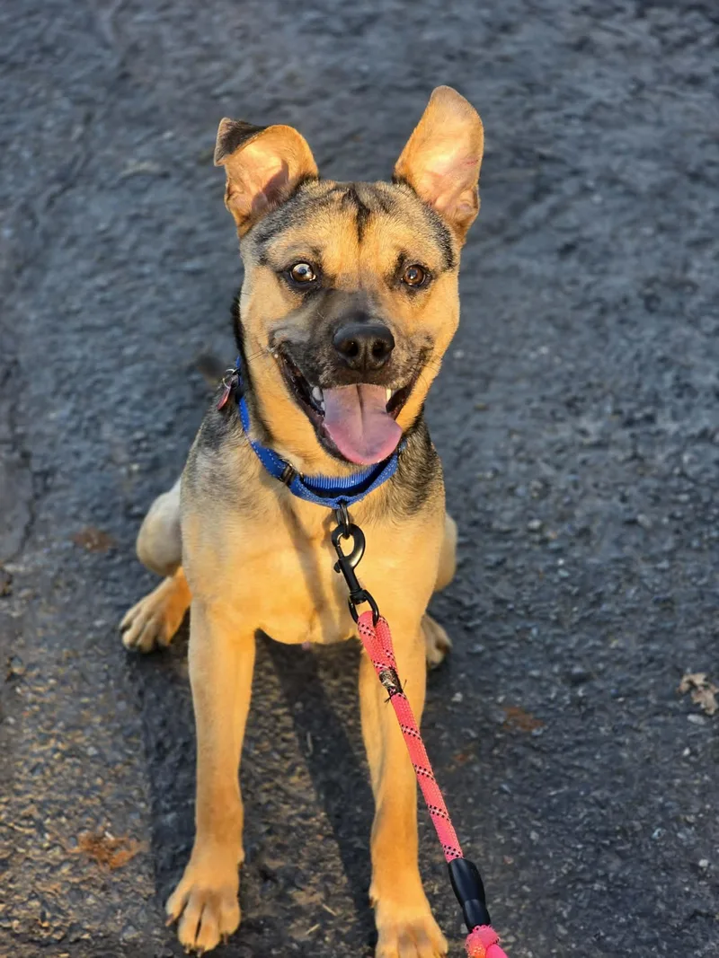 Muddy Buddy thumbnail 2