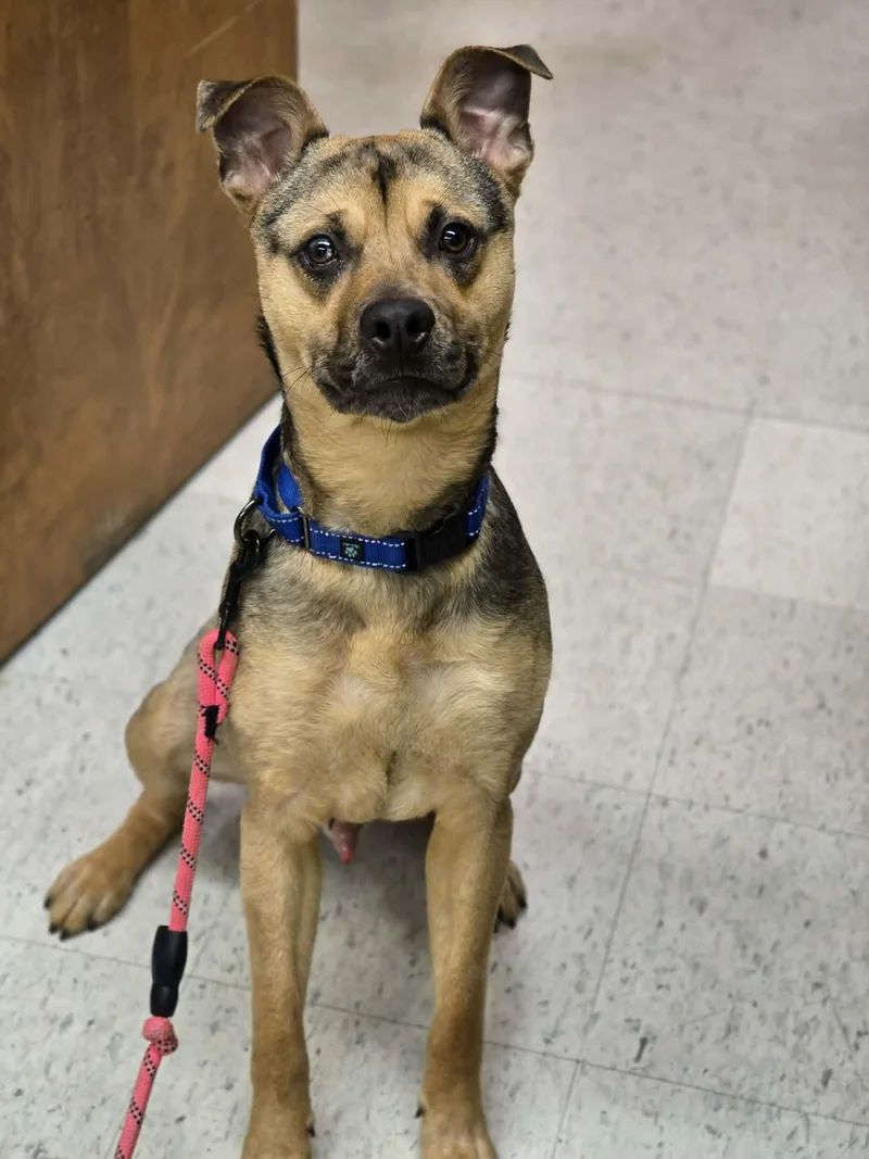 Muddy Buddy thumbnail 3