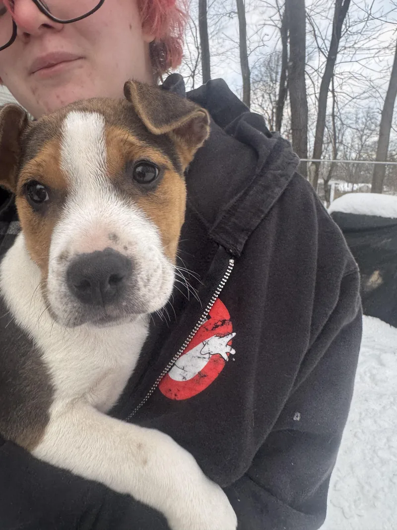 Hercules thumbnail 3