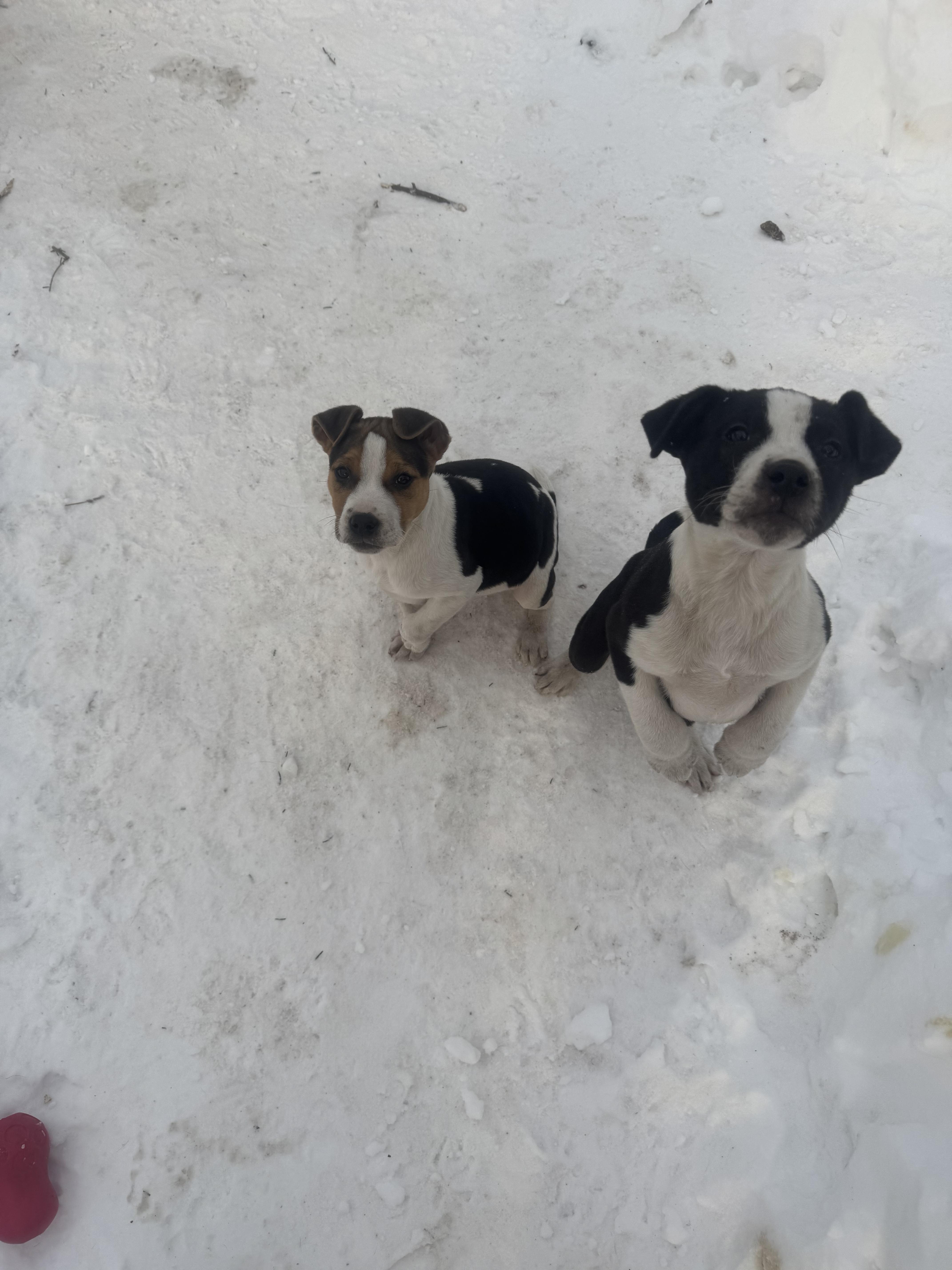 Hercules thumbnail 4