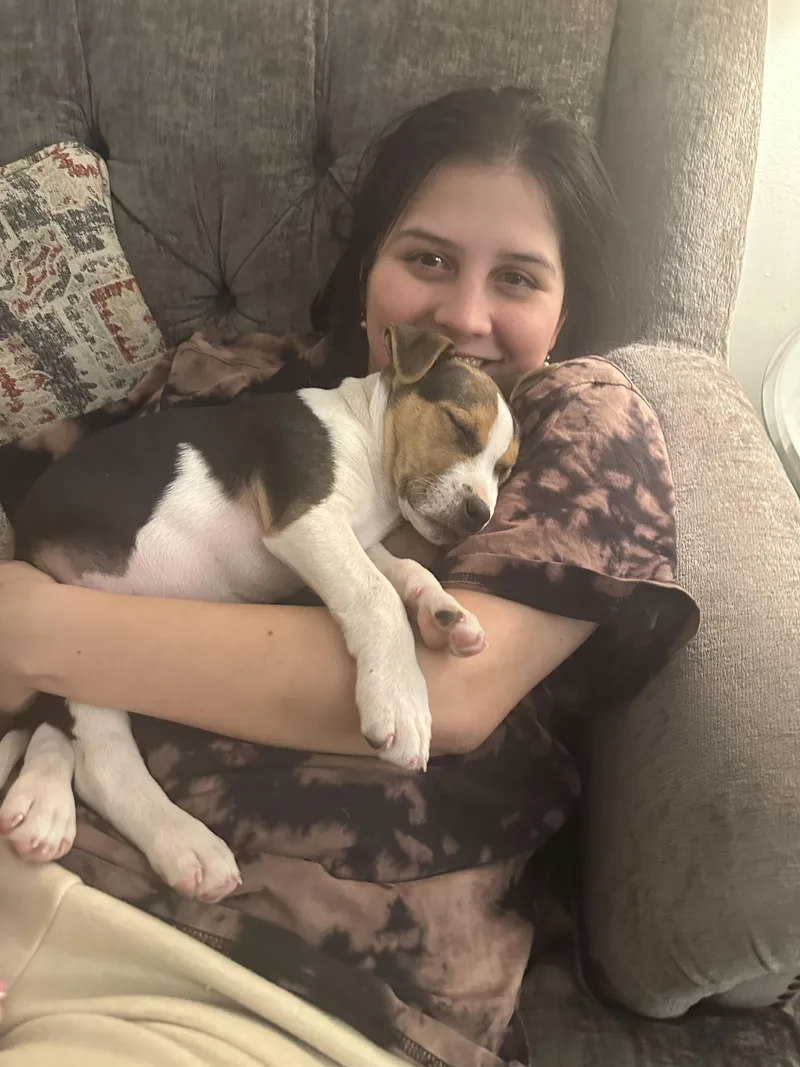 Hercules thumbnail 5