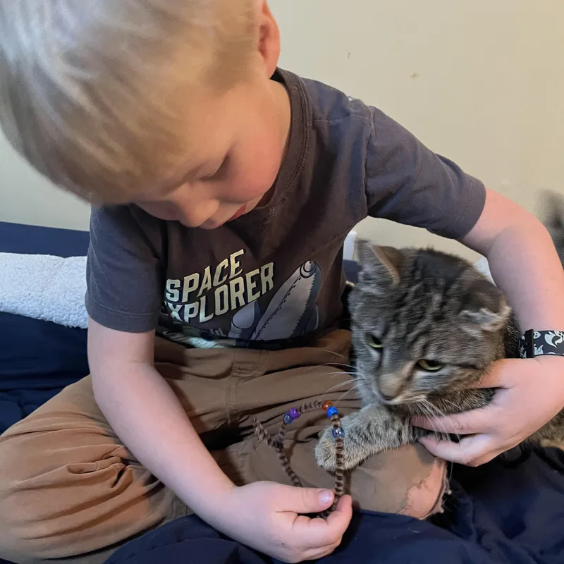 Claressa thumbnail 3