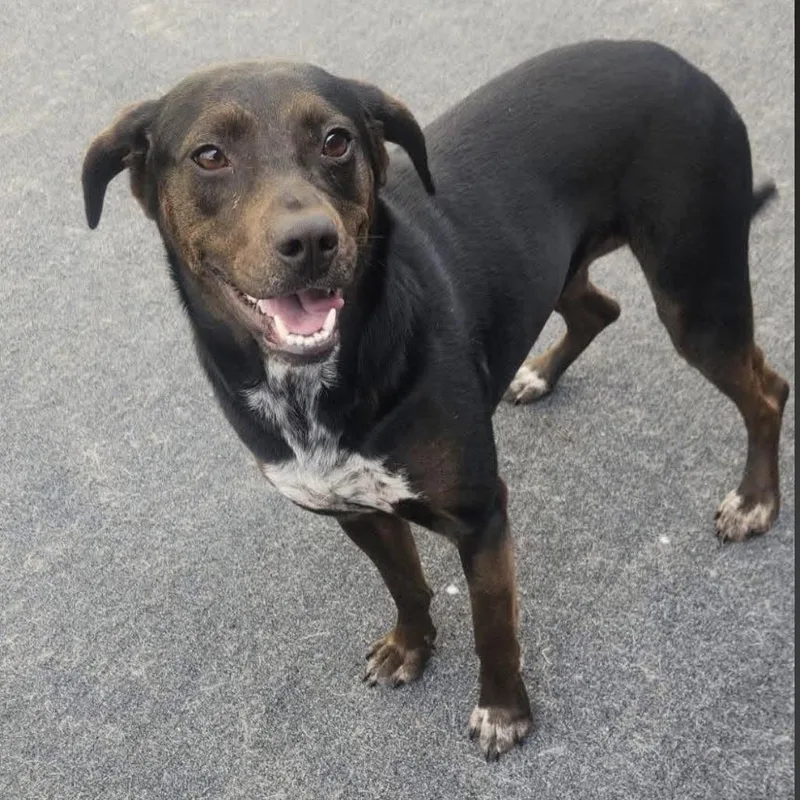 Princess thumbnail 2