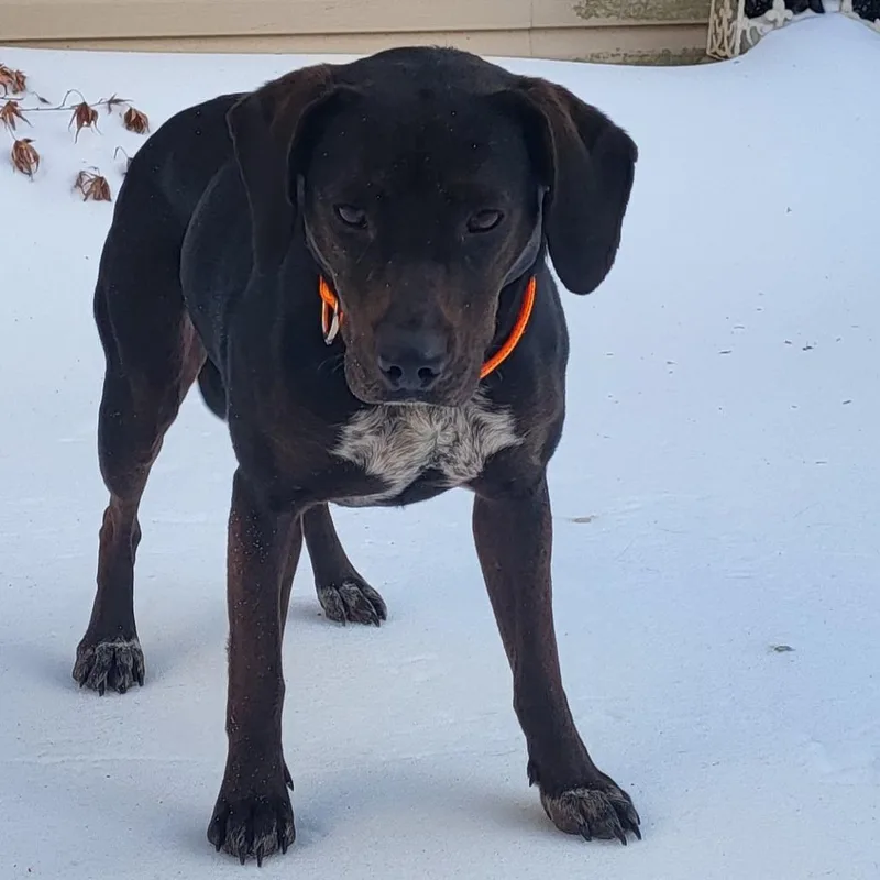 Princess thumbnail 3