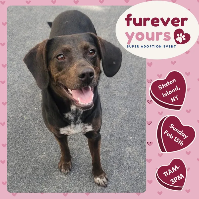 Princess thumbnail 4