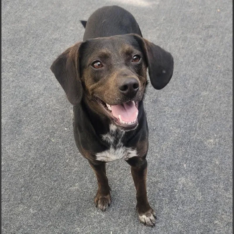 Princess thumbnail 5