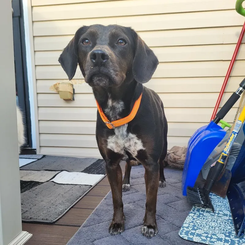 Princess thumbnail 6