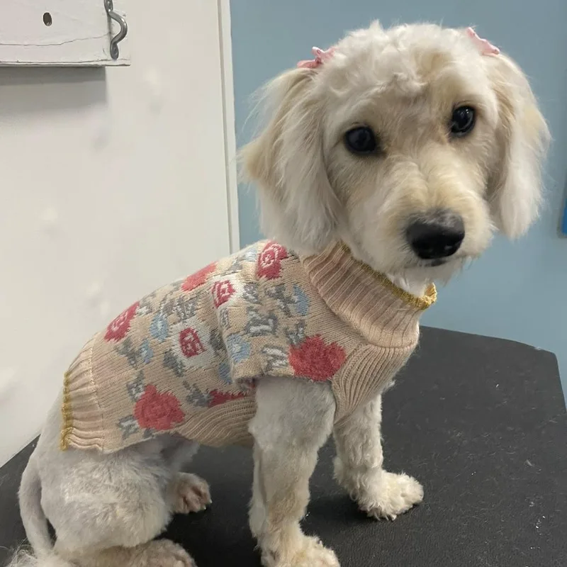 Tinkerbelle thumbnail 6