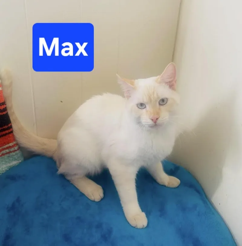 Max