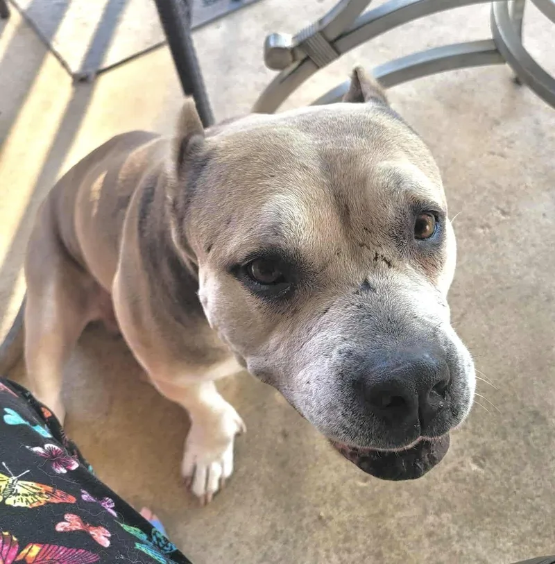 Athena Ab thumbnail 2