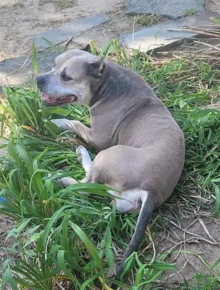 Athena Ab thumbnail 3